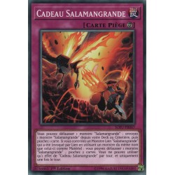 Cadeau Salamangrande (C) [SOFU]