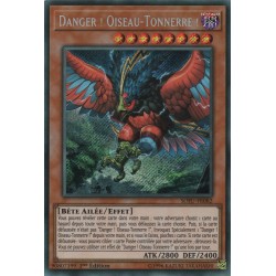 Danger ! Oiseau-Tonnerre ! (STR) [SOFU]