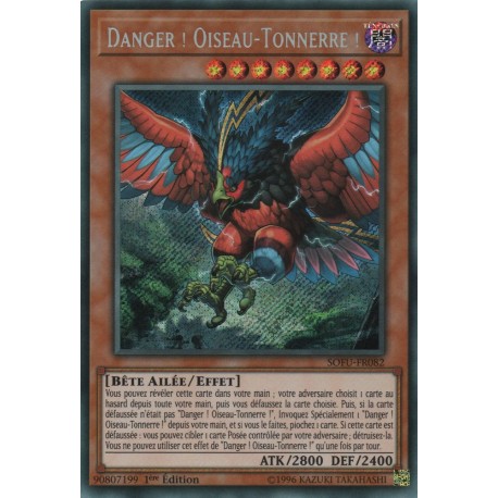 Danger ! Oiseau-Tonnerre ! (STR) [SOFU]