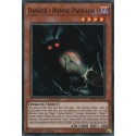Danger ! Homme-Papillon ! (SR) [SOFU]
