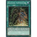 Destinée Supérieure (C) [LEHD]