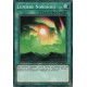 Lumière Nordique (C) [LEHD]