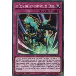 Les Chevaliers Fantômes Du Voile De L'Ombre (C) [LEHD]