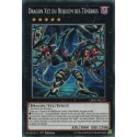 Dragon Xyz Du Requiem Des Ténèbres (C) [LEHD]