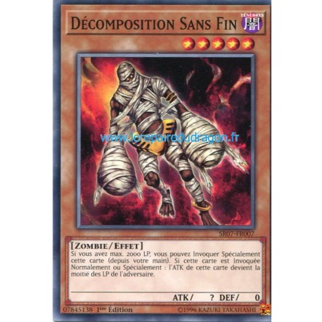 Décomposition Sans Fin (C) [SR07]