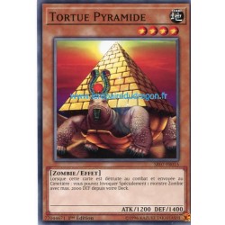 Tortue Pyramide (C) [SR07]