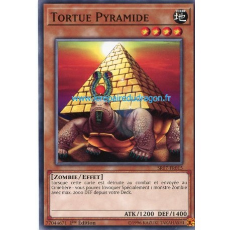 Tortue Pyramide (C) [SR07]