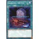 Sacrifice Inutile (C) [SR07]