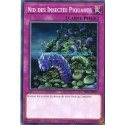Nid Des Insectes Piquants (C) [SR07]