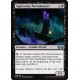 Noire - Apprentice Necromancer (U) [UMA]