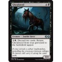 Noire - Ghoulsteed (U) [UMA]