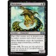 Noire - Shriekmaw (U) [UMA]