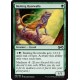 Verte - Basking Rootwalla (C) [UMA]