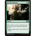 Verte - Become Immense (U) [UMA]