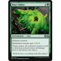 Verte - Boar Umbra (U) [UMA]