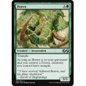 Verte - Brawn (U) [UMA]