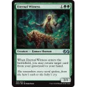 Verte - Eternal Witness (U) [UMA]