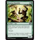 Verte - Hooting Mandrills (C) [UMA]