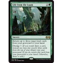 Verte - Life from the Loam (R) [UMA]