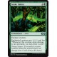 Verte - Snake Umbra (U) [UMA]