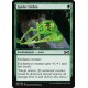 Verte - Spider Umbra (C) [UMA]