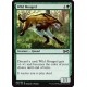 Verte - Wild Mongrel (C) [UMA]