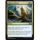 Or - Urban Evolution (U) [UMA]