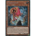 Gnomatériel (STR) [DANE]