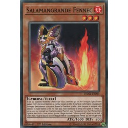 Salamangrande Fennec (C) [DANE]