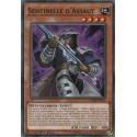 Sentinelle d'Assaut (C) [DANE]
