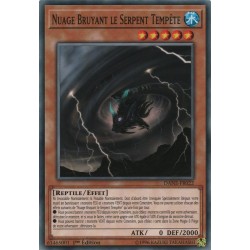 Nuage Bruyant le Serpent Tempête (C) [DANE]