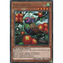 Fixétoileur (R) [DANE]
