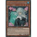 Fille Fantôme et Cornouiller Effrayant (STR) [DANE]