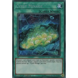 Cynet Minage (STR) [DANE]