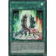 Remècurrence Salamangrande (UR) [DANE]
