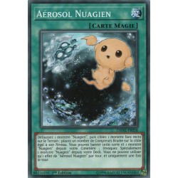 Aérosol Nuagien (C) [DANE]