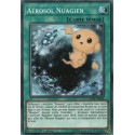 Aérosol Nuagien (C) [DANE]