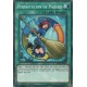 Permutation de Paquet (SP) [DANE]