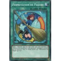 Permutation de Paquet (SP) [DANE]