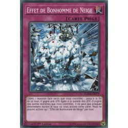 Effet de Bonhomme de Neige (C) [DANE]