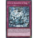Effet de Bonhomme de Neige (C) [DANE]