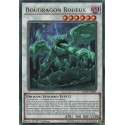 Boudragon Boueux (R) [DANE]