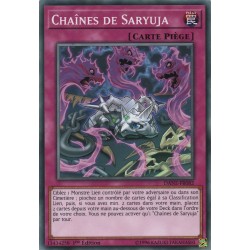Chaînes de Saryuja (C) [DANE]