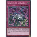 Chaînes de Saryuja (C) [DANE]