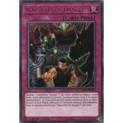 Vous êtes en Danger ! (R) [DANE]
