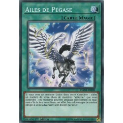 Ailes de Pégase (C) [DANE]