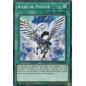 Ailes de Pégase (C) [DANE]
