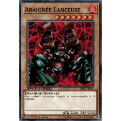 Araignée Lanceuse  (C) [SBSC]