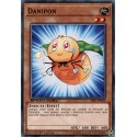 Danipon  (C) [SBSC]