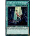 Destruction et Pioche  (C) [SBSC]